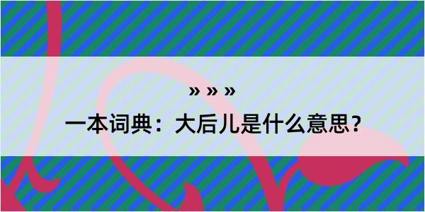 一本词典：大后儿是什么意思？