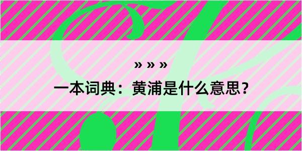 一本词典：黄浦是什么意思？