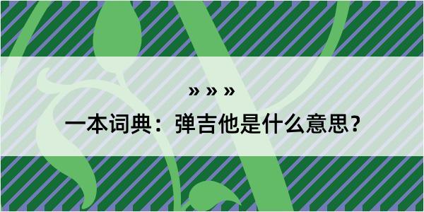 一本词典：弹吉他是什么意思？