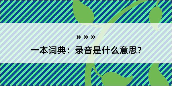 一本词典：录音是什么意思？