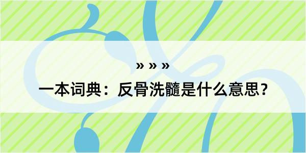 一本词典：反骨洗髓是什么意思？