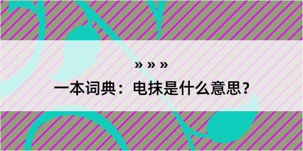 一本词典：电抹是什么意思？