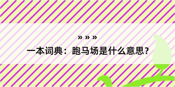 一本词典：跑马场是什么意思？