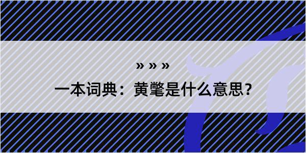 一本词典：黄氅是什么意思？