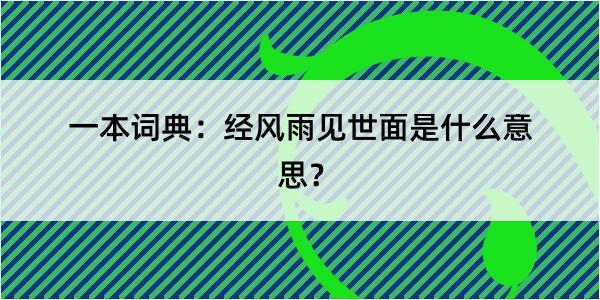 一本词典：经风雨见世面是什么意思？