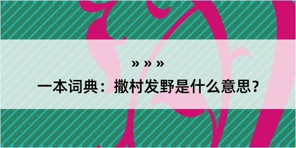 一本词典：撒村发野是什么意思？