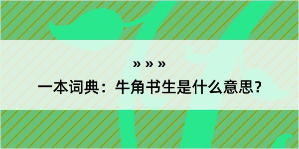 一本词典：牛角书生是什么意思？