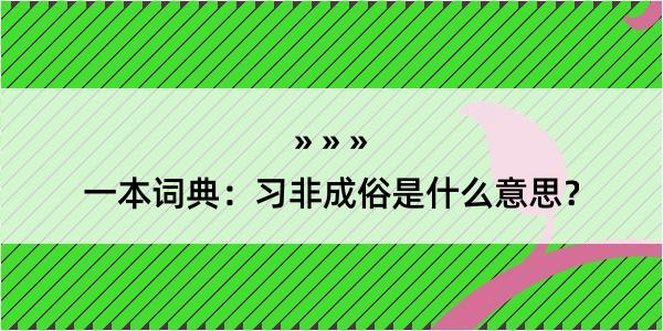 一本词典：习非成俗是什么意思？