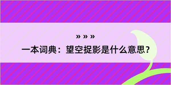 一本词典：望空捉影是什么意思？