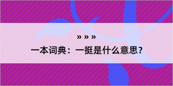 一本词典：一挺是什么意思？