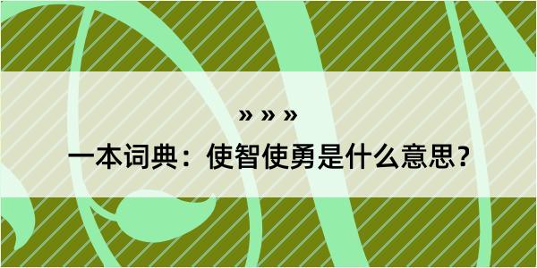 一本词典：使智使勇是什么意思？