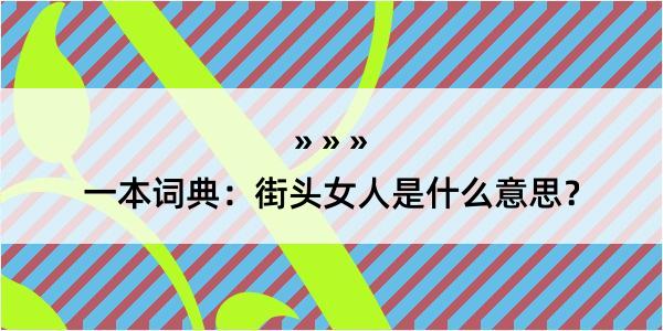 一本词典：街头女人是什么意思？