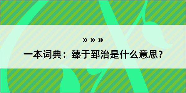 一本词典：臻于郅治是什么意思？