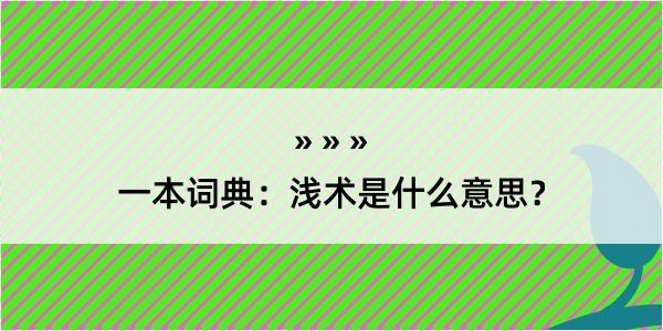 一本词典：浅术是什么意思？