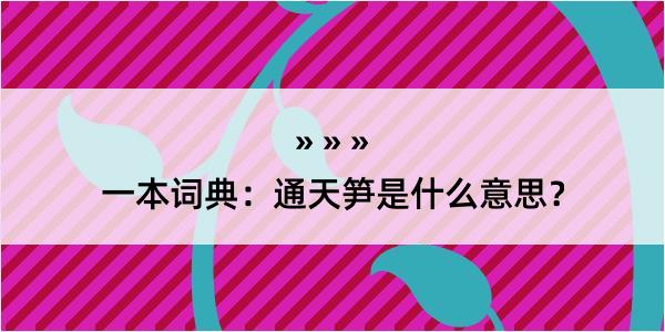 一本词典：通天笋是什么意思？