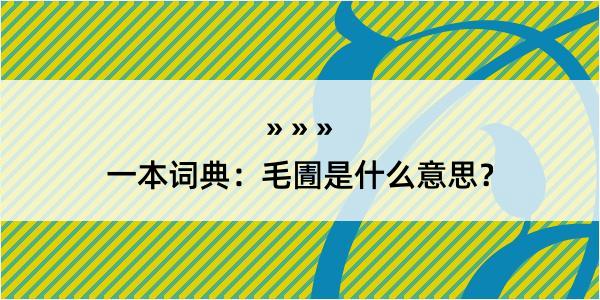 一本词典：毛圊是什么意思？