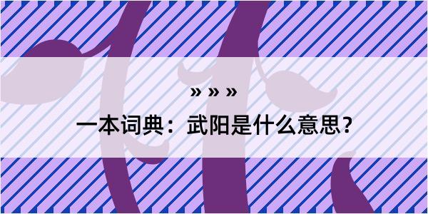 一本词典：武阳是什么意思？