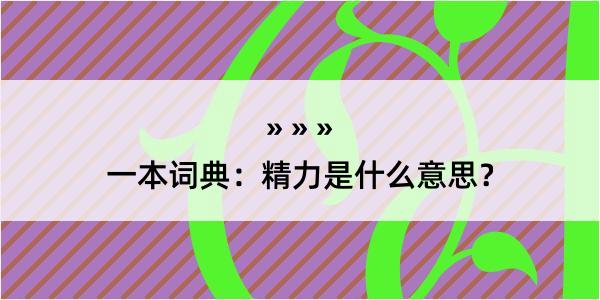 一本词典：精力是什么意思？