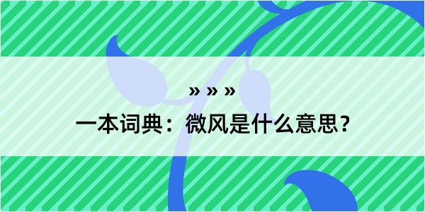 一本词典：微风是什么意思？