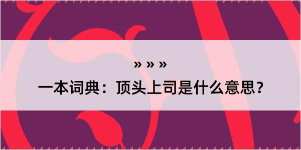 一本词典：顶头上司是什么意思？