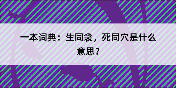 一本词典：生同衾，死同穴是什么意思？