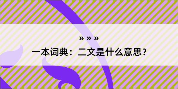 一本词典：二文是什么意思？