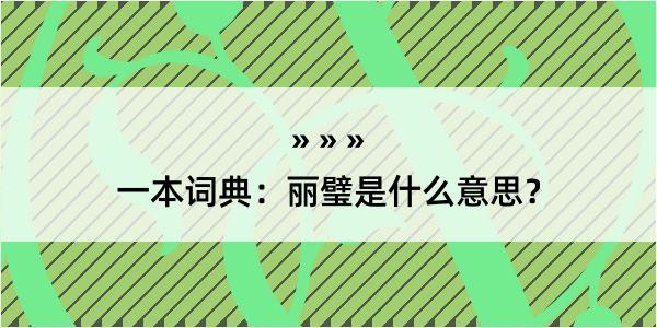 一本词典：丽璧是什么意思？