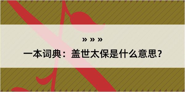 一本词典：盖世太保是什么意思？