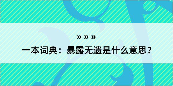 一本词典：暴露无遗是什么意思？