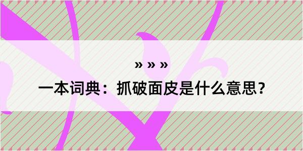 一本词典：抓破面皮是什么意思？