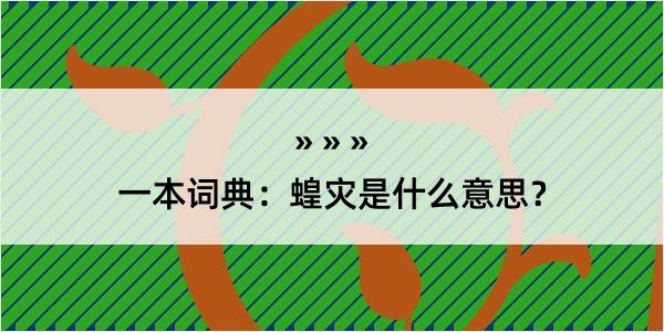 一本词典：蝗灾是什么意思？