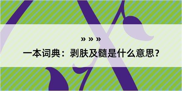 一本词典：剥肤及髓是什么意思？