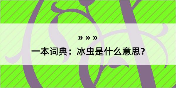 一本词典：冰虫是什么意思？