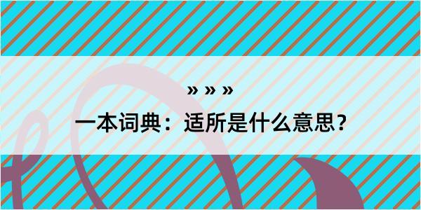 一本词典：适所是什么意思？