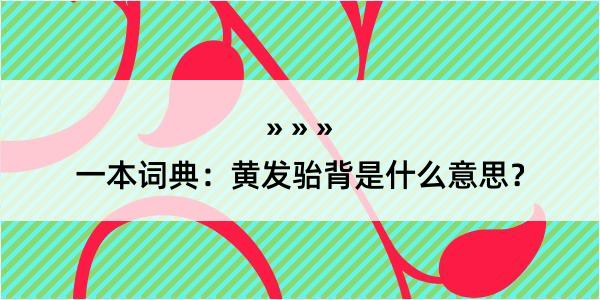 一本词典：黄发骀背是什么意思？