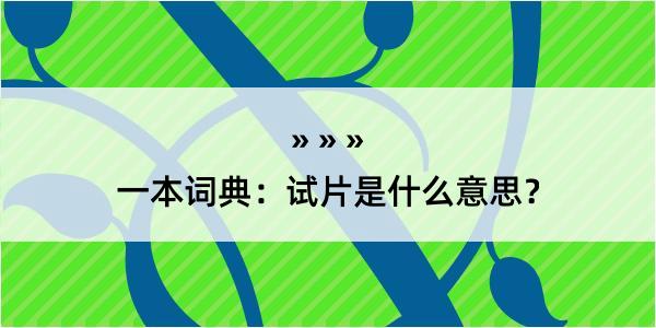 一本词典：试片是什么意思？