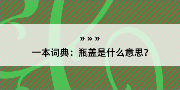 一本词典：瓶盖是什么意思？