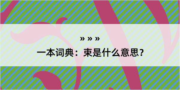 一本词典：束是什么意思？