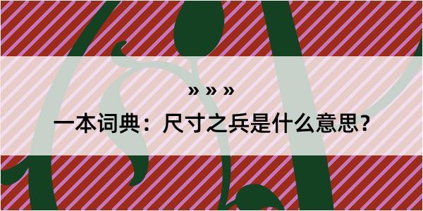 一本词典：尺寸之兵是什么意思？