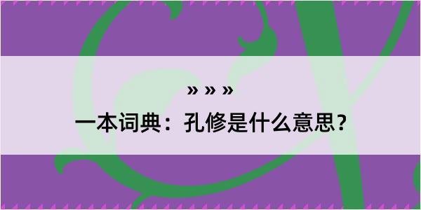 一本词典：孔修是什么意思？