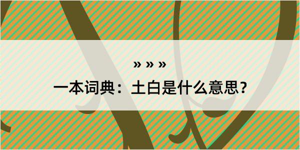 一本词典：土白是什么意思？