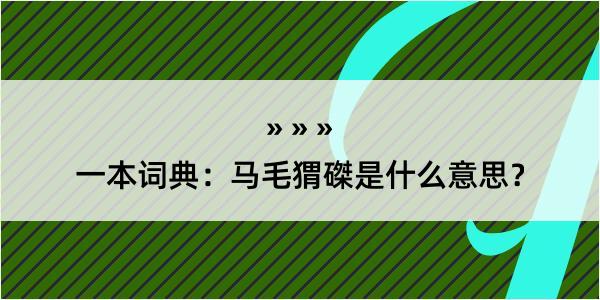 一本词典：马毛猬磔是什么意思？