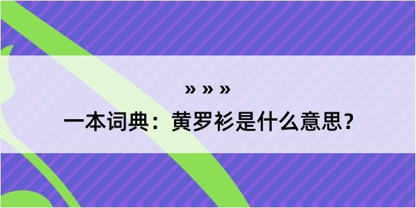 一本词典：黄罗衫是什么意思？