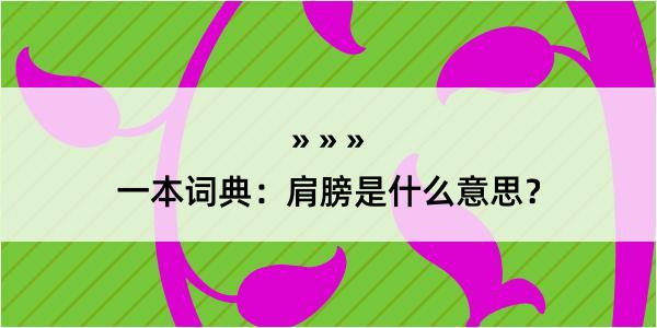 一本词典：肩膀是什么意思？