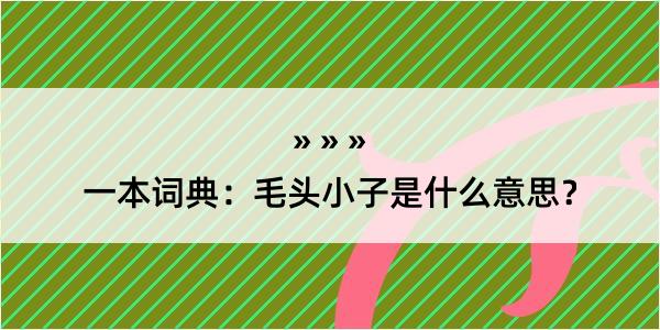 一本词典：毛头小子是什么意思？