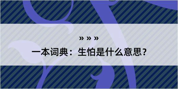 一本词典：生怕是什么意思？