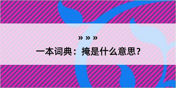 一本词典：掩是什么意思？