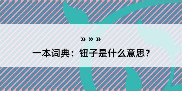 一本词典：钮子是什么意思？