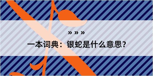 一本词典：银蛇是什么意思？