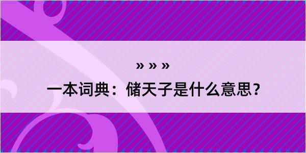 一本词典：储天子是什么意思？